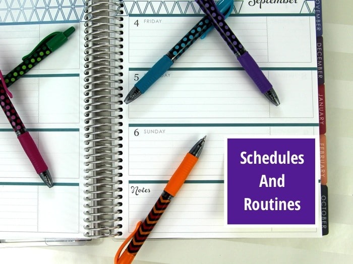setting up schedules and routines