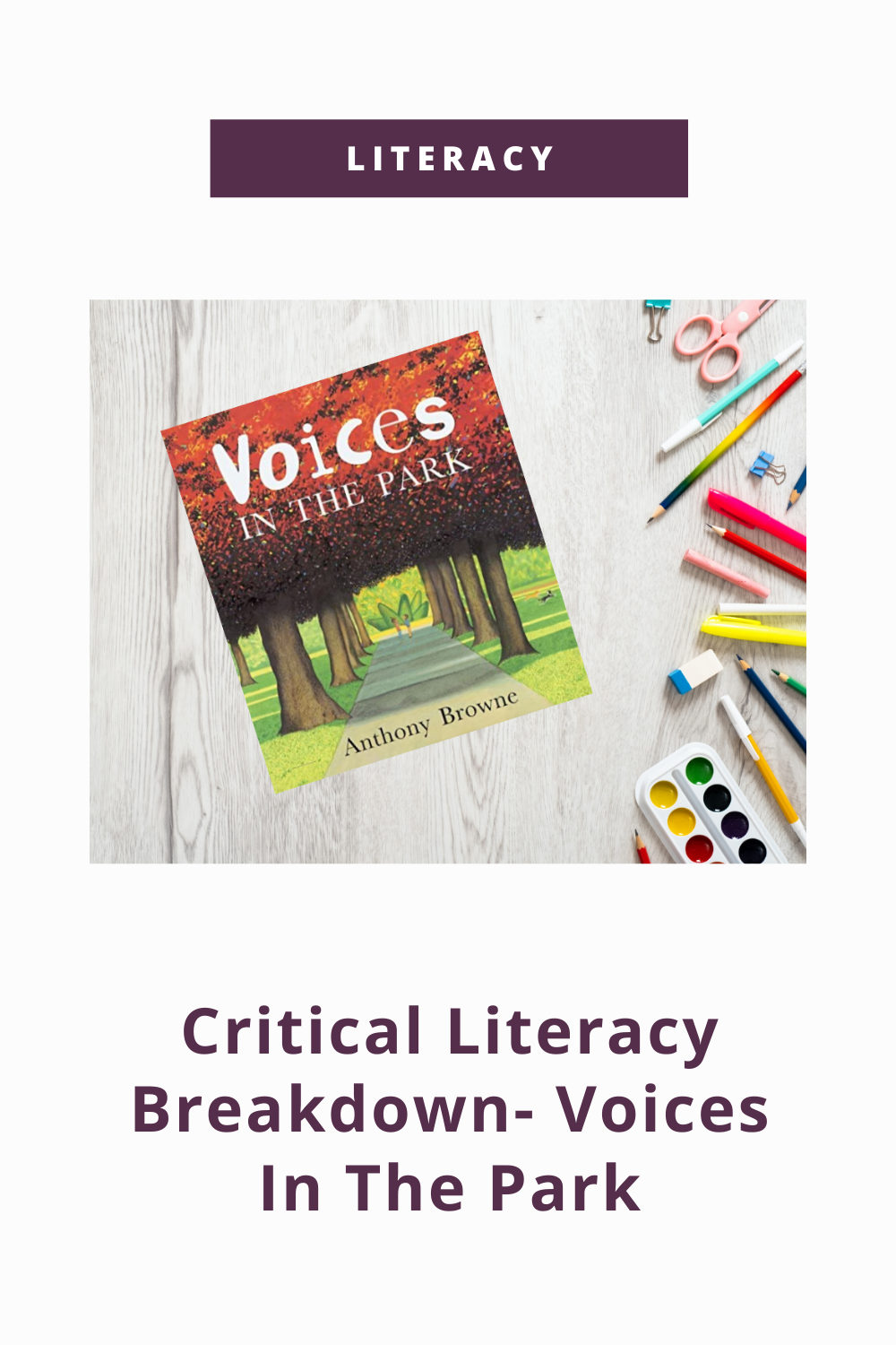 critical literacy breakdown with the book voices in the park overlay