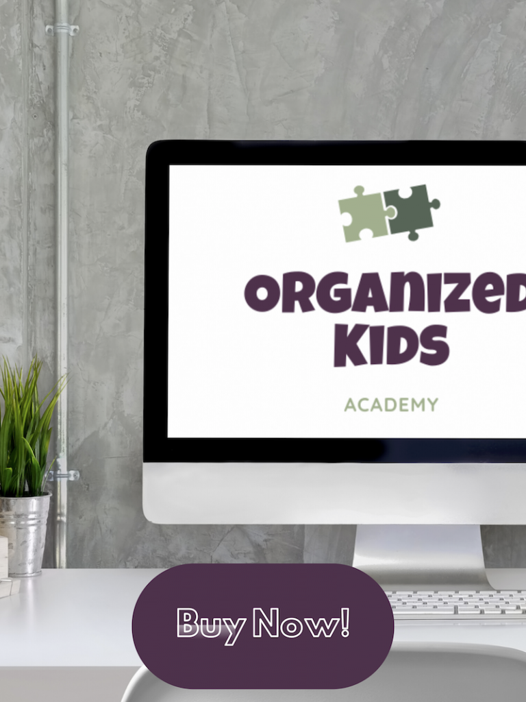 the organized kids academy buy now on computer