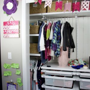 closet with flowers and pink banner over closet without doors
