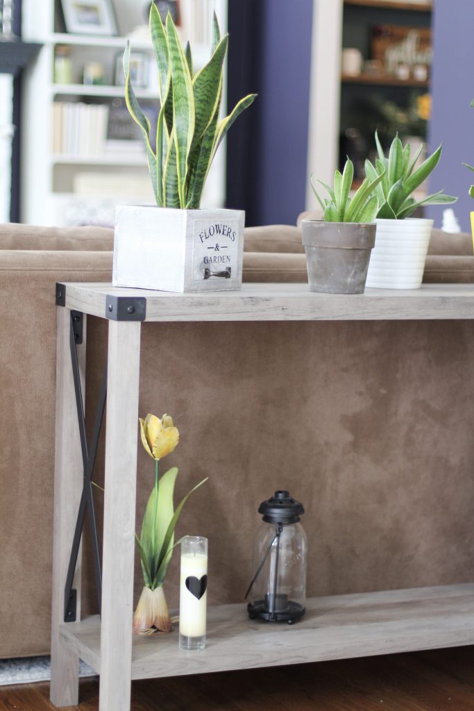 console table with plants and candles