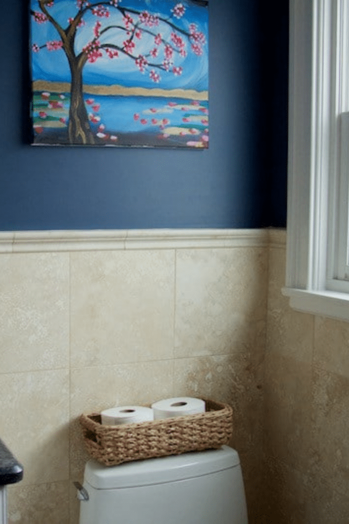 baskets for toilet paper on back of toilet with picture and blue walls