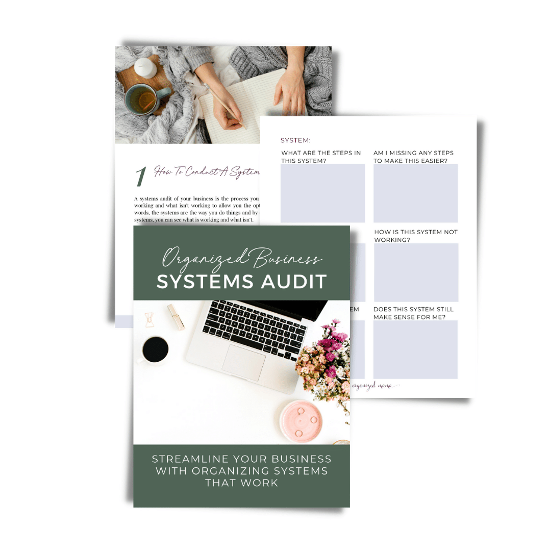 items inside the organized business systems audit
