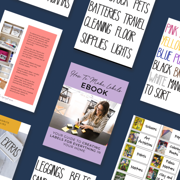 flatlay of label pack with all labels and cover of labels ebook